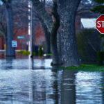 flooded residential street